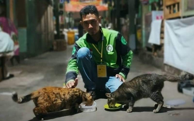 Melihat Lebih Dekat Para Pejuang Kucing Pasar