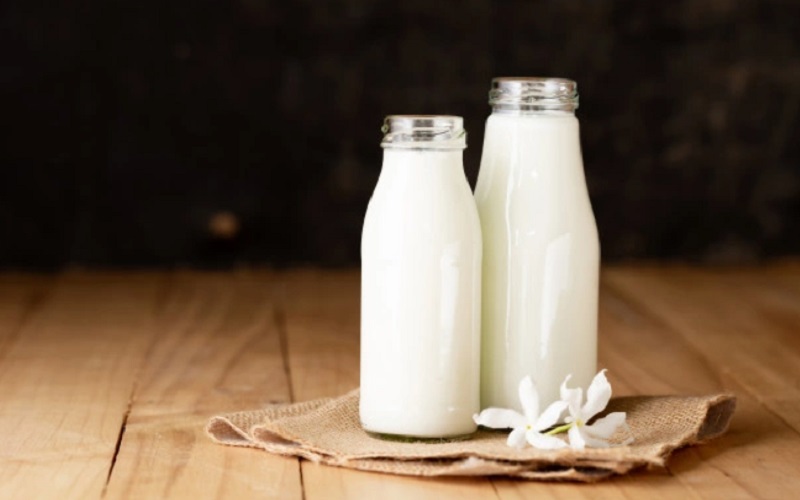 Kenali Efek Positif dan Negatif dari Minum Susu