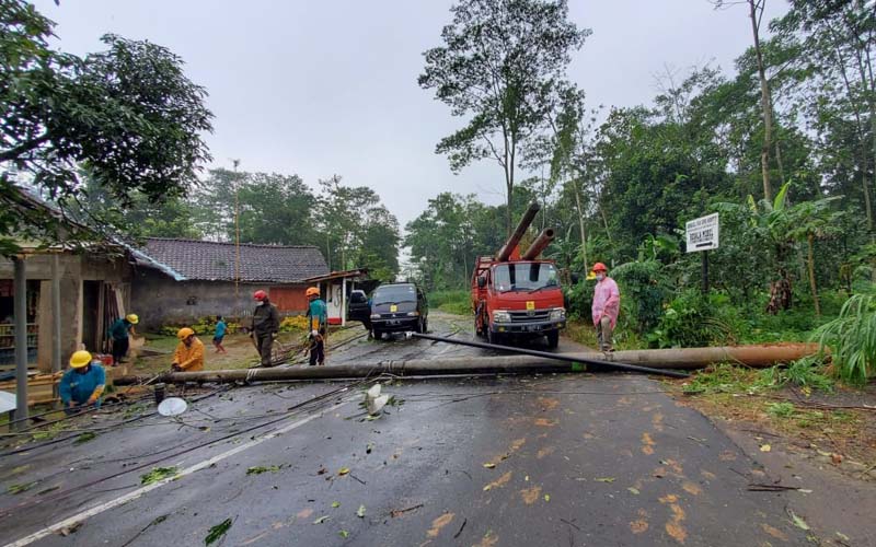 Respon Cepat, PLN Berhasil Pulihkan Gangguan Listrik Akibat Cuaca di Semarang
