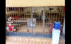 Bangun Kerangkeng di Rumah, Bupati Langkat Diduga Memperbudak Pekerja Sawit