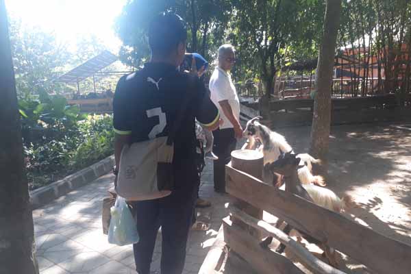 Jogja PPKM Level 3, Pengunjung Gembira Loka Zoo Dibatasi
