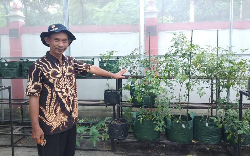 Cara Cerdas Sargio Mengajarkan Cara Menanam lewat Konten Digital
