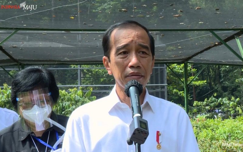Jokowi Janji Bangun Ibu Kota Baru Tanpa Merusak Hutan
