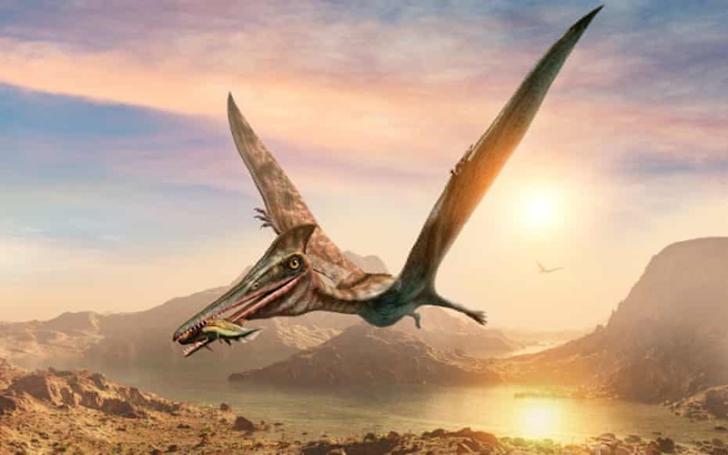Pterosaurus Jurassic Terbesar Dunia Ditemukan di Skotlandia
