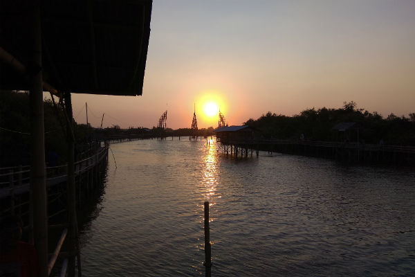 Indahnya Wisata Paling Ujung Kulon Jogja, Mangrove Pantai Kadilangu