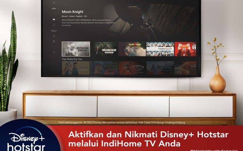 Kabar Gembira, Disney+ Hotstar Kini dapat Diakses di STB IndiHome TV