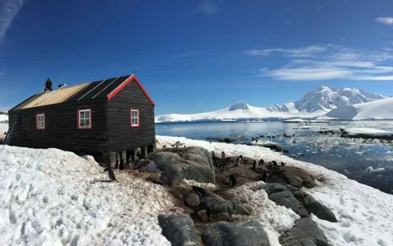 Kantor Pos Paling Terpencil di Dunia Buka Lowongan Kerja Hitung Penguin