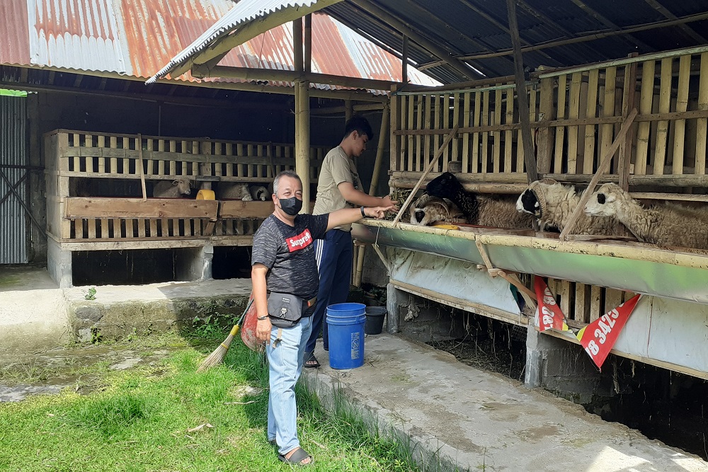 DPRD Kabupaten Magelang Desak Pemkab Tangani Serius PMK pada Ternak