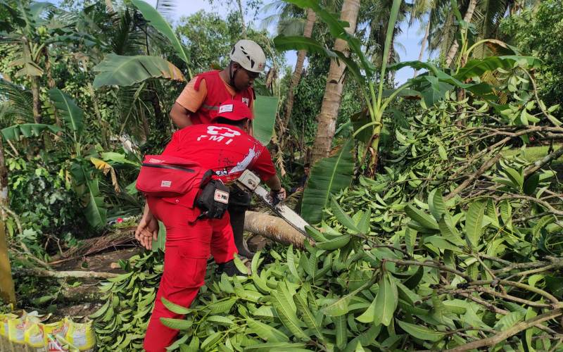 Puluhan Pohon Tumbang akibat Hujan Badai di Kulonprogo 