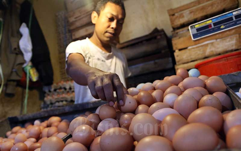 Harga Telur Ayam Tembus Rp30.000 Dipandang Ideal