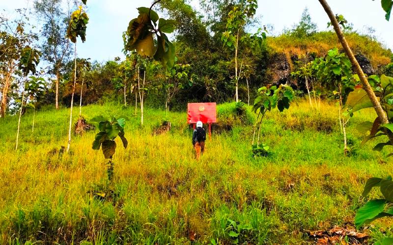 1,3 Hektare Perbukitan di Gunungkidul Disita karena Korupsi Perum Perindo