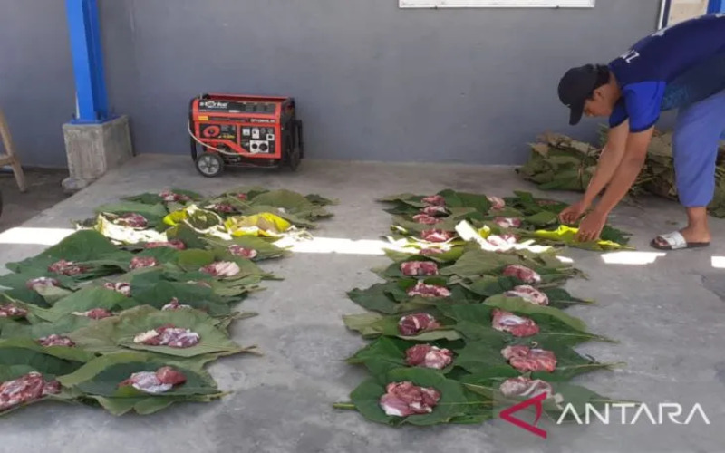 Daun Jati Bagus untuk Membungkus Daging Hewan Kurban, Ini Keistimewaannya