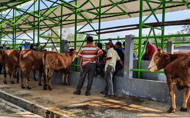 5 Pasar Hewan di Boyolali Masih Tutup, Ini Alasannya