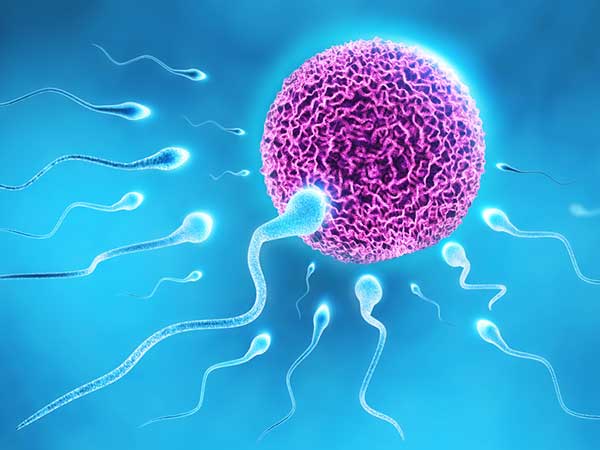 Kadar Kualitas Sperma Jadi Kunci Terjadinya Kehamilan