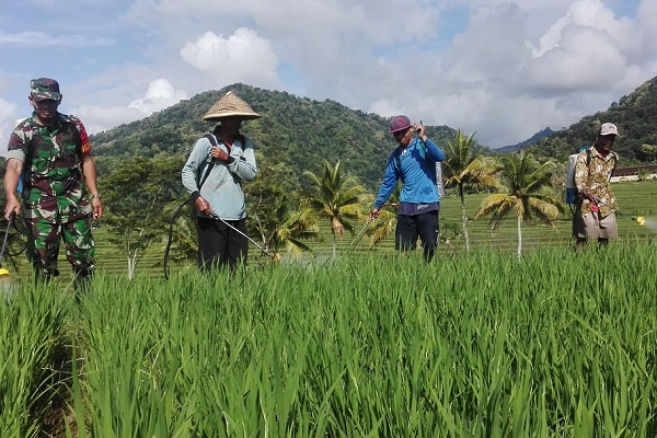 BBM Naik, Luas Lahan Garapan Petani Berpotensi Turun