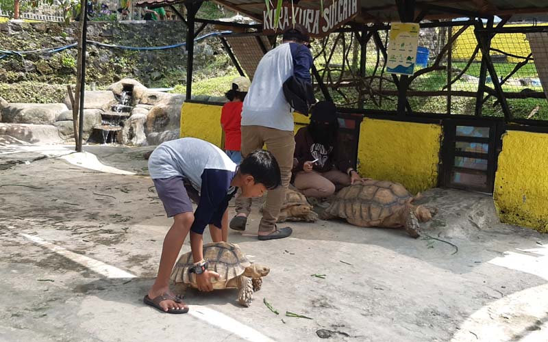 4 Mini Zoo di Jogja, Rekomendasi untuk Akhir Pekanmu