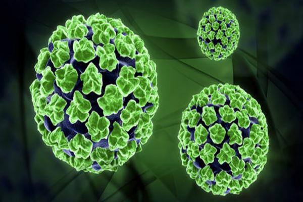 Mengenal HPV, Virus Penyebab Berbagai Jenis Kanker