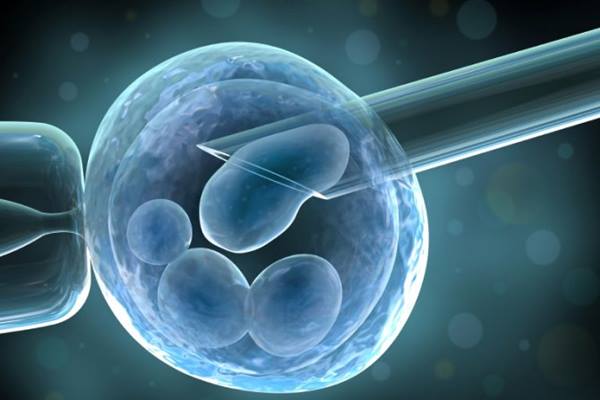 Mengenal Terapi Stem Cell dan Kontroversinya