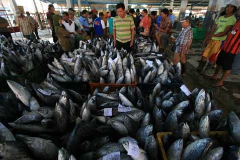 OPINI: Penangkapan Ikan Terukur vs Berdikari