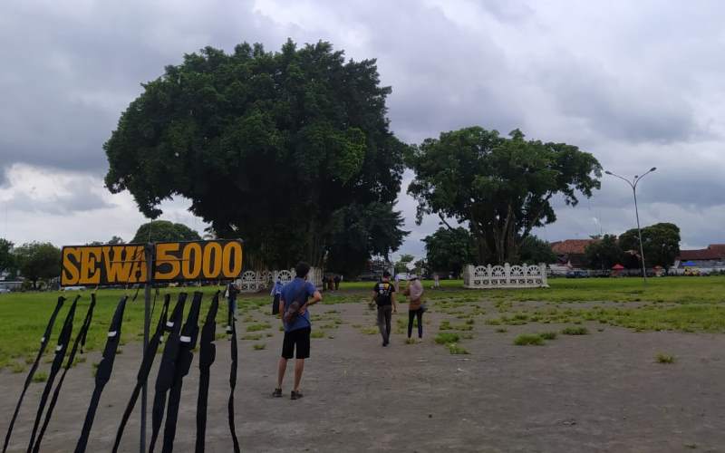 Masangin Alkid, Tembus Dua Beringin Bakal Bernasib Mujur