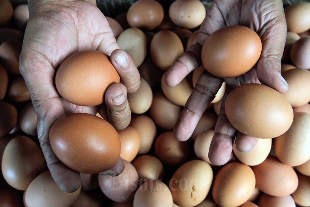 Telur Ayam di Papua Nyaris Rp40.000, Segini Harga di DIY