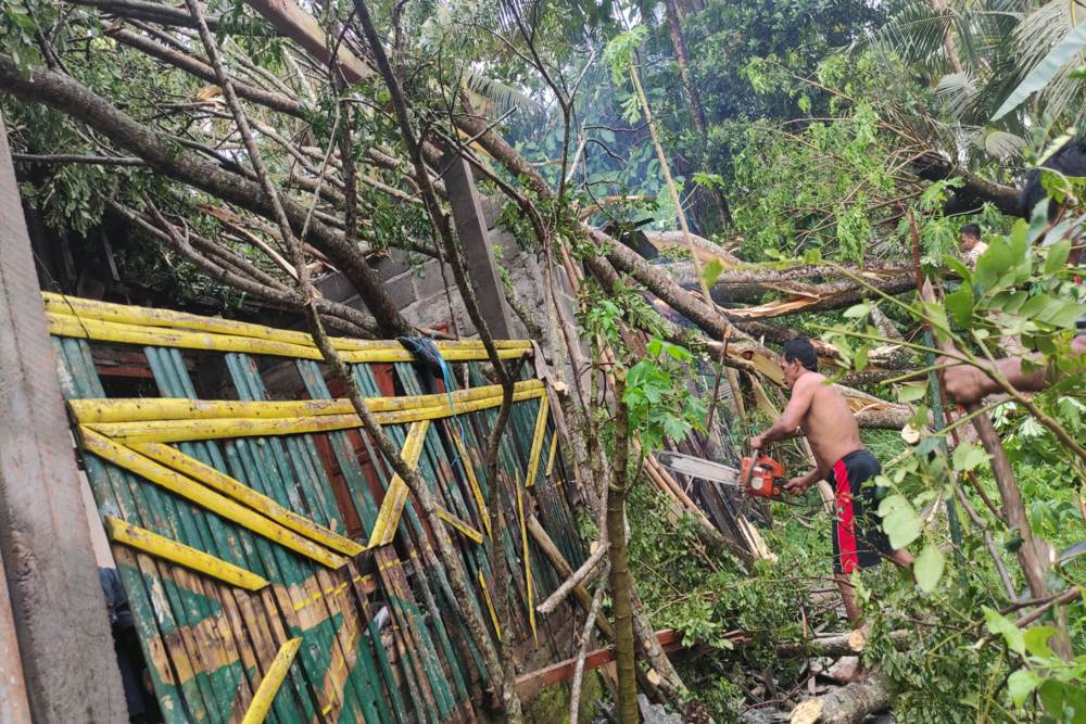 Diterpa Angin Kencang, Sejumlah Rumah di Triharjo Tertimpa Pohon