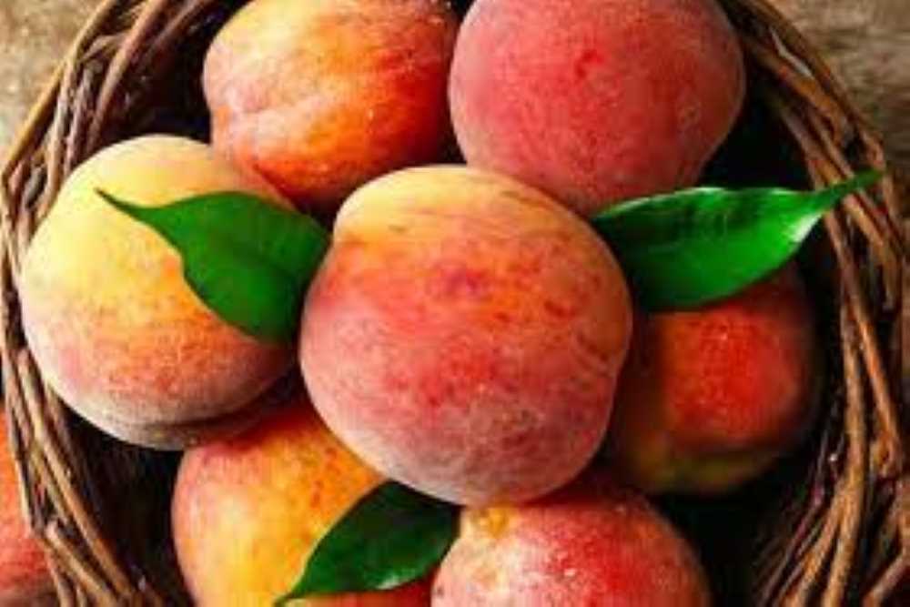 5 Khasiat Buah Peach, Salah Satunya Mencegah Penuaan Dini