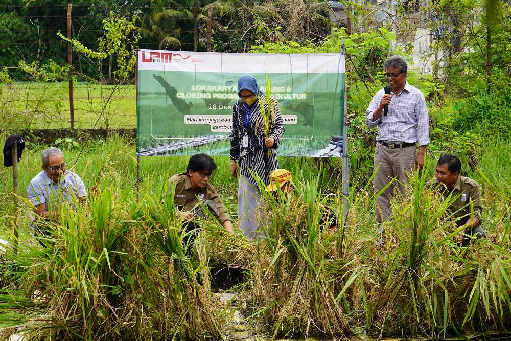 Akdemisi Kembangkan Media Tanam Padi Terapung, Ini Cara Membuatnya