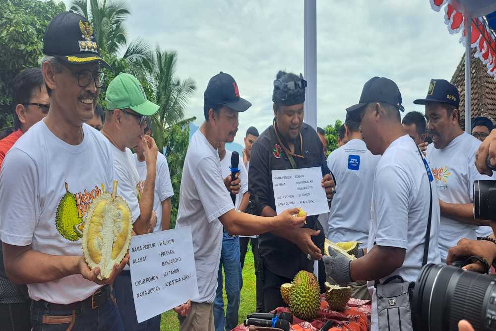 Dua Varietas Baru Durian Diperkenalkan di Embung Tonogoro
