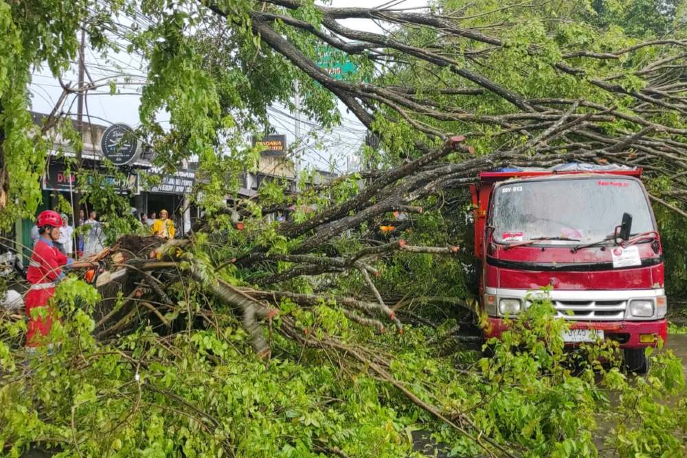 Cuaca Ekstrem: Belasan Pohon Tumbang Timpa Rumah hingga Tutup Akses Jalan