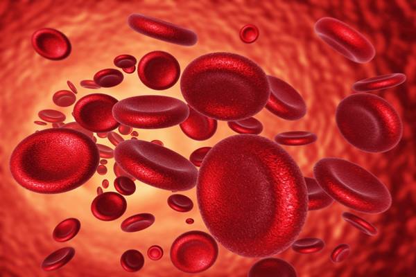 Tips Meningkatkan Jumlah Hemoglobin Dalam Darah