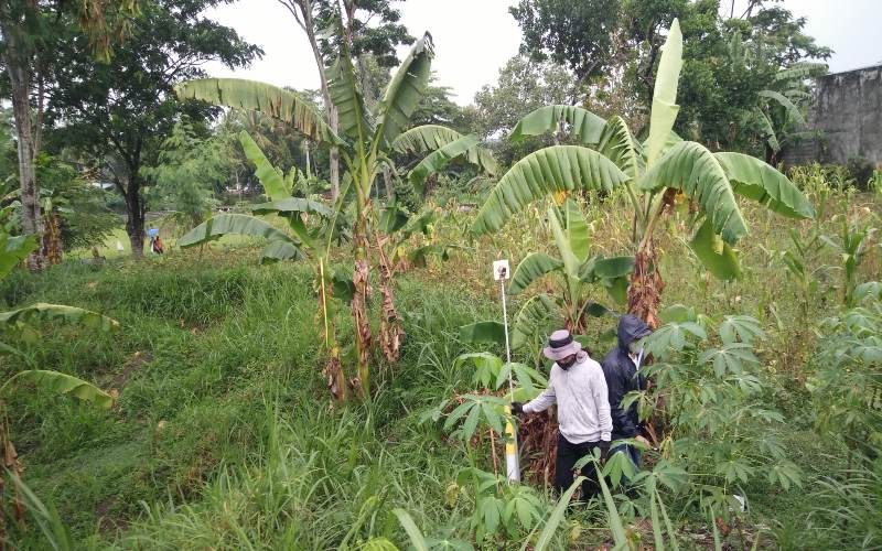 Pembayaran Ganti Rugi Ratusan Bidang Lahan Tol Jogja di Prambanan Belum Ada Kepastian