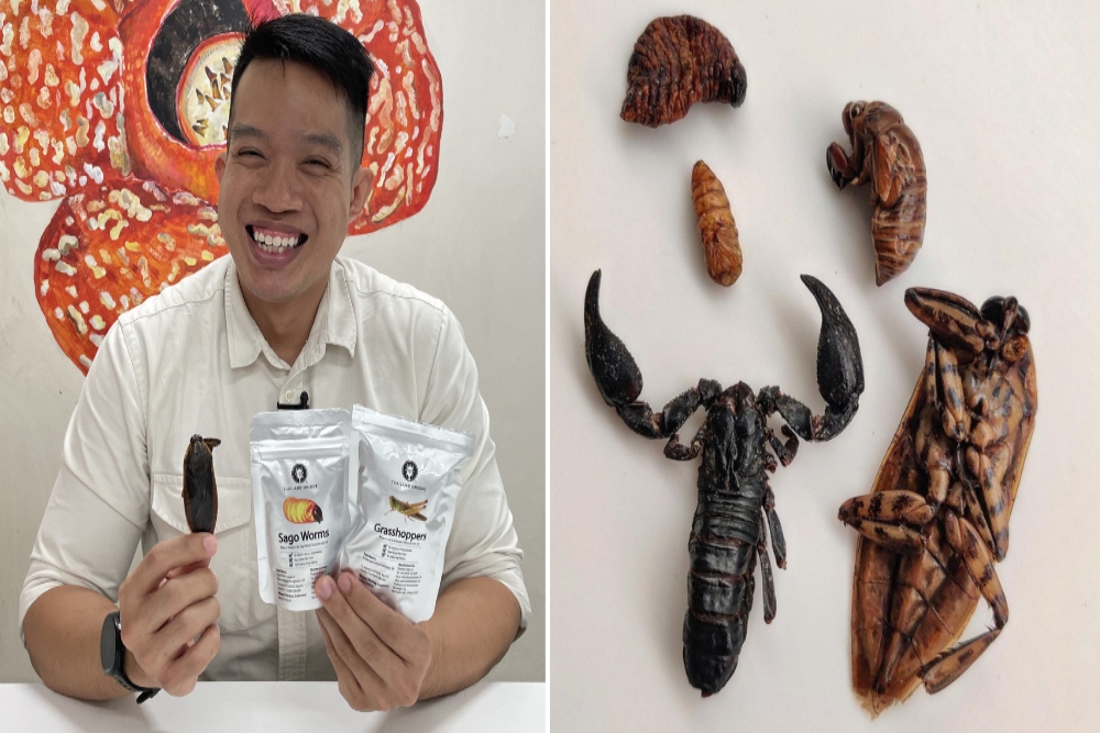 Pria Singapura Ini Pilih Ngemil Serangga Dibanding Keripik, Klaim Lebih Sehat