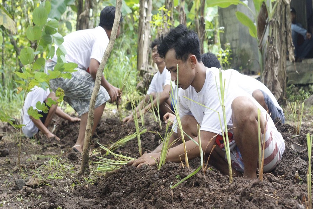 OMG DIY Peduli Lingkungan, Tanam Empon-Empon dan Bersih Dusun