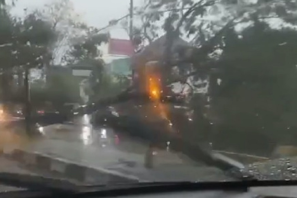 Hujan dan Angin Kencang, Pohon Bertumbangan di Sleman dan Menimpa Rumah