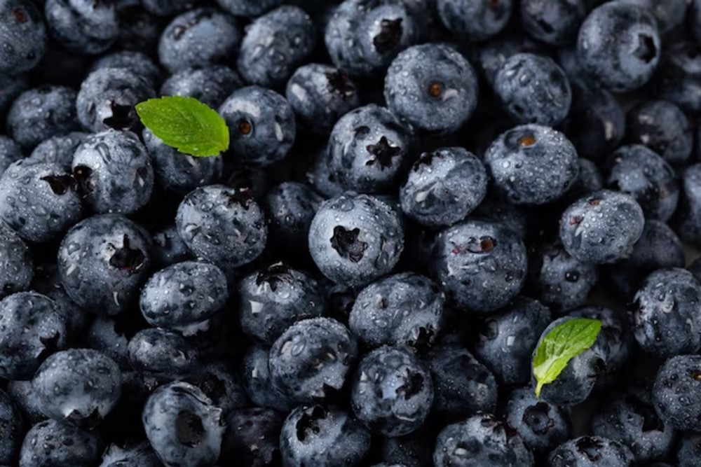 Segenggam Blueberry Kaya Nutrisi, Bisa Cegah Kanker