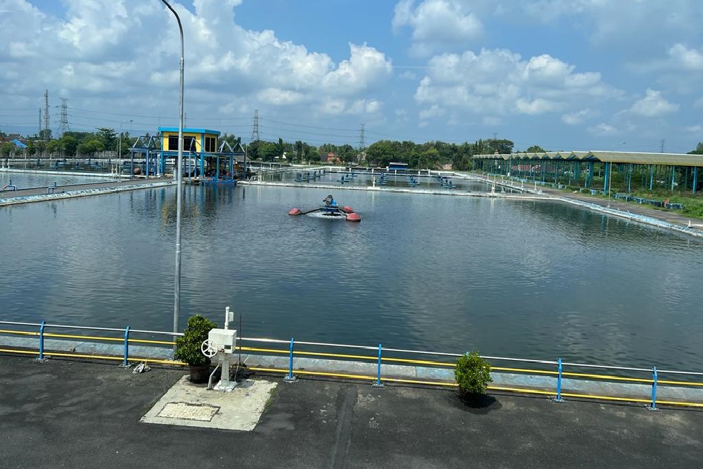 Balai Pialam Ungkap Alasan IPAL Sewon Bukan Penyebab Pencemaran Sungai di Jogja