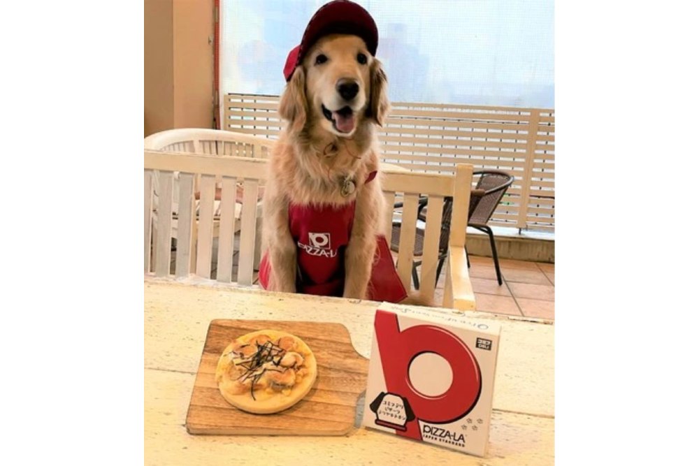 Unik! Ada Restoran yang Punya Menu Pizza Khusus Anjing