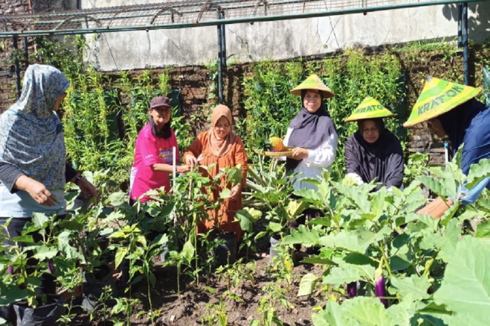 Memberdayakan Warga, Kelurahan Patehan Hidupkan Pertanian Lewat Lorong Sayur