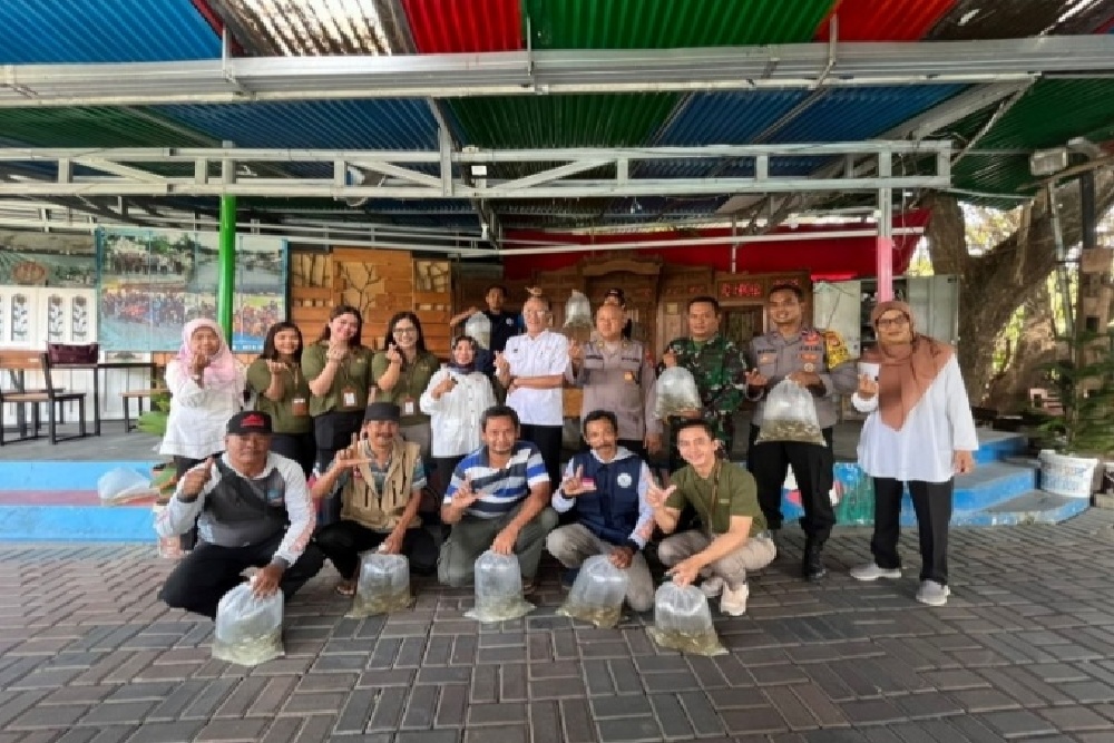 Pulihkan Ekosistem Sungai, Ibis Styles Yogyakarta Ikut Melakukan Restocking Ikan di Kali Gajah Wong