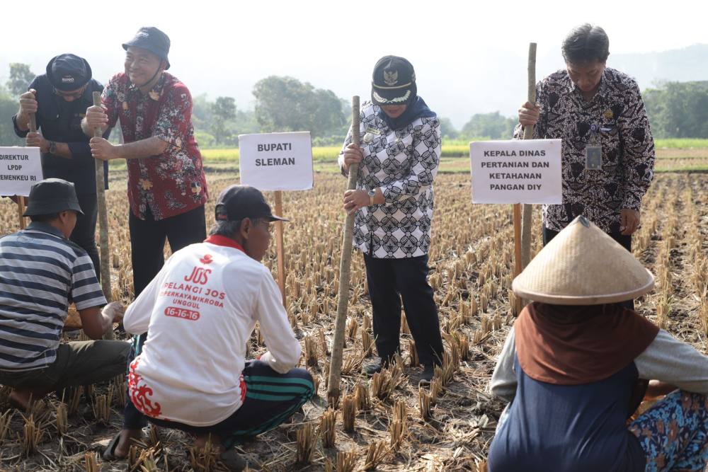 Digelontor Dana Rp400 Juta, Sleman Berupaya Tingkatkan Produktivitas Kedelai