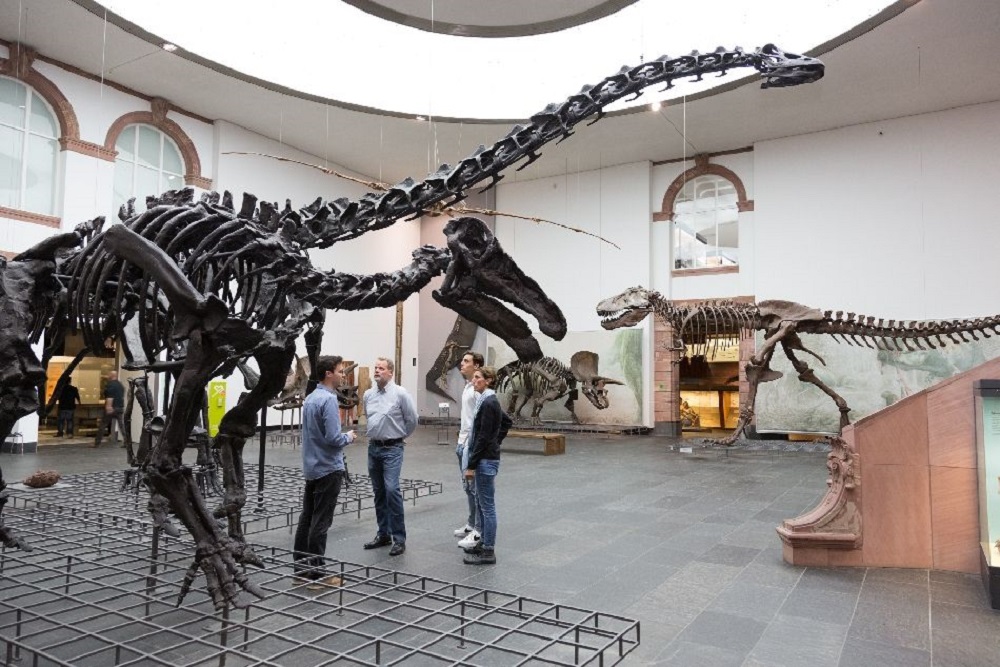 Wisata Edukasi ke Museum Gudangnya Dinosaurus di Jerman, Bisa Lihat 400 Ribu Fosil