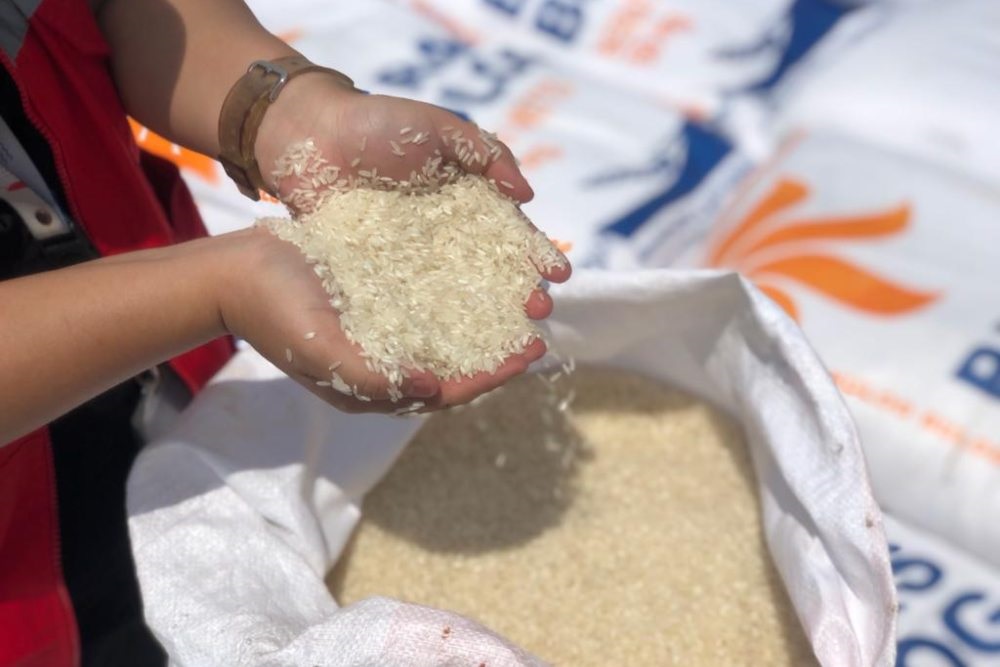 Hadapi El Nino, Pemerintah Terus Mengecek Ketersediaan Beras