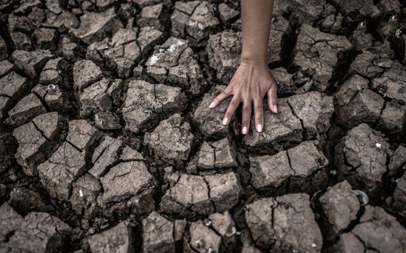 20 Kapanewon di DIY Berstatus Siaga Kekeringan, Ini Lokasinya
