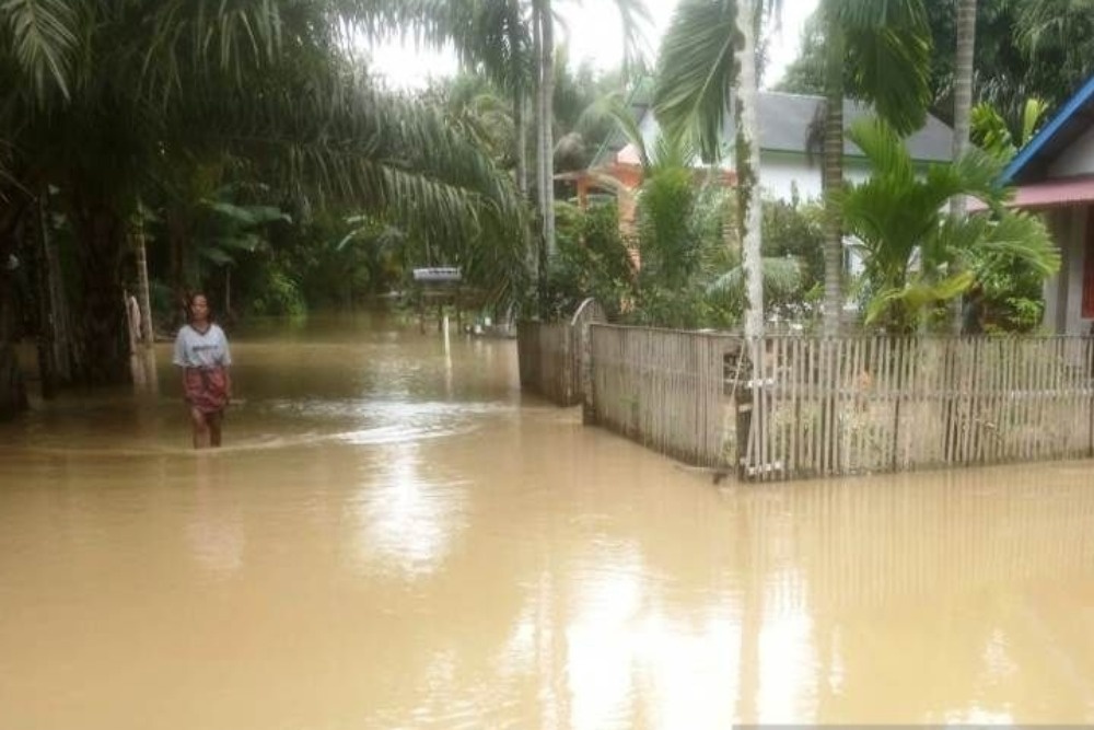 Tujuh Desa di Aceh Barat Terendam Banjir, Warga Bertahan di Rumah