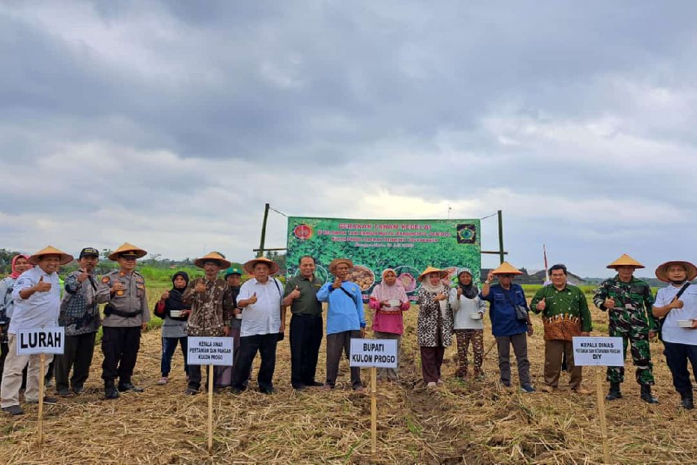 Tingkatkan Produktivitas Kedelai, UGM Dampingi Petani di Sentolo