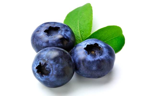 Blueberry hingga Kopi Bantu Tingkatkan Fungsi Kognitif Otak
