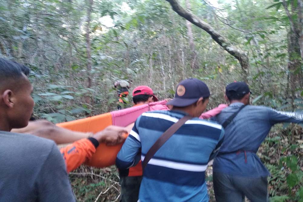 Bocah Hilang di Hutan Dlingo Ditemukan dalam Kondisi Lemas