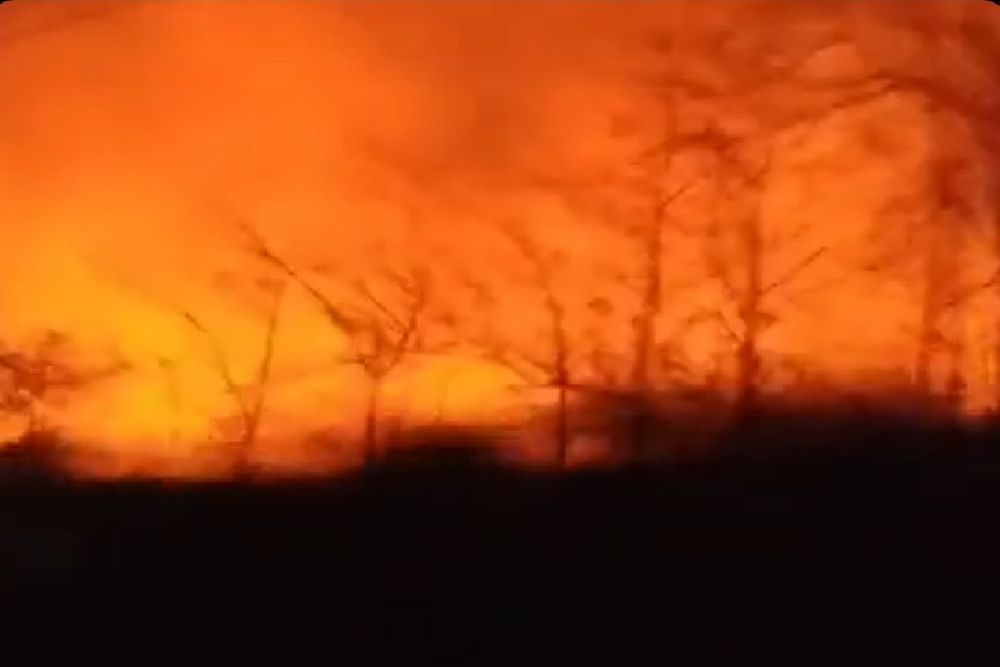 Butuh Waktu 3 Jam Petugas Memadamkan Kebakaran Hutan di Semin Gunungkidul