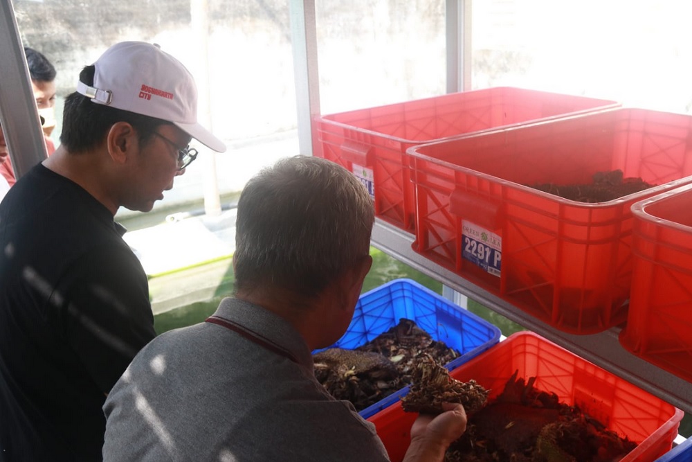 TPST Karang Miri Giwangan Kelola Sampah Organik dengan Maggot